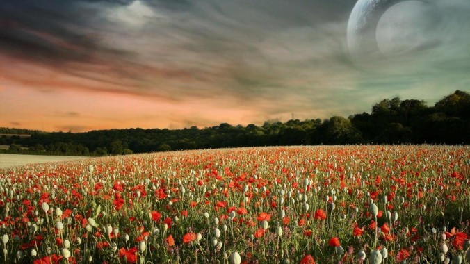 消息称苹果 macOS 26 将不再支持部分旧款英特尔 CPU 机型，这背后原因有哪些？